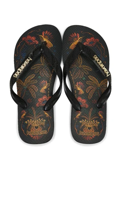 Havaianas Farm Classic Nature Sandal