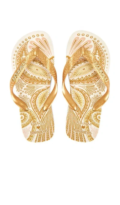 Havaianas Farm Papillon Flip Flop