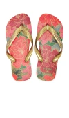 HAVAIANAS FARM RIO RED FLORALS SANDAL