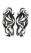 Havaianas Farm Tucanada Rainbow Flip Flop
