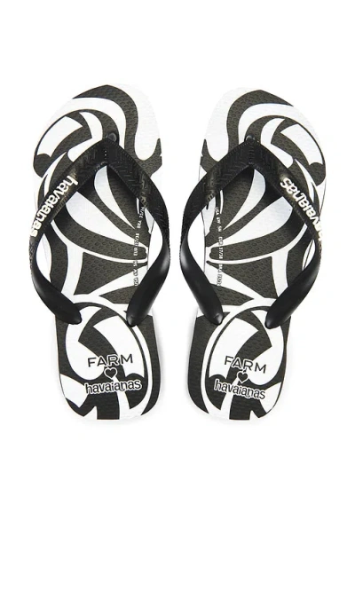 Havaianas Farm Tucanada Rainbow Flip Flop