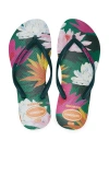 Havaianas Slim Summer Bliss Flip Flop In Dark Green