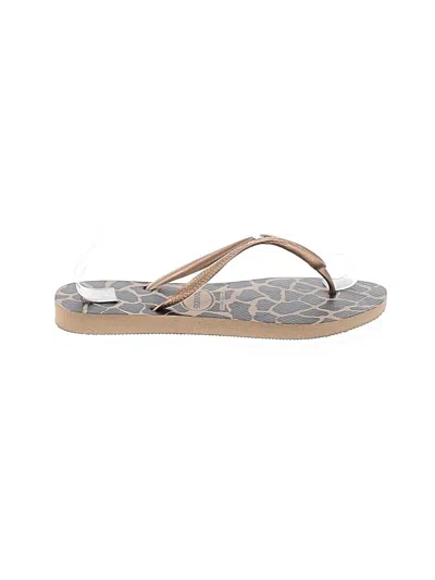 Havaianas Flip Flops In Gray