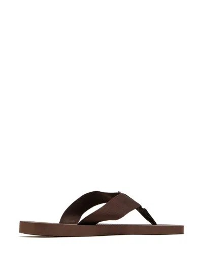 Havaianas Ribbon Strap Flip-flops In Brown