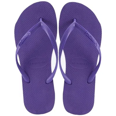HAVAIANAS ROUND TOE SLIM PURPLE