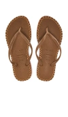 Havaianas Slim Flatform Loop Slim Sandal In Tan
