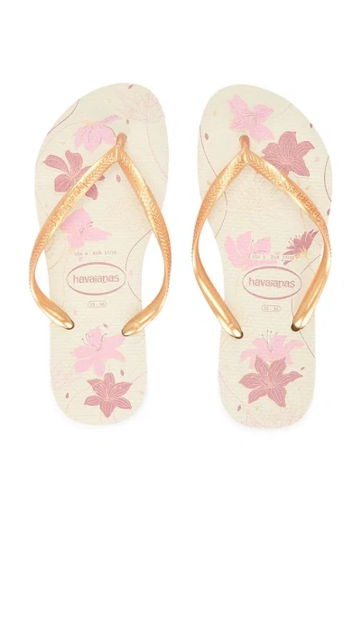 HAVAIANAS SLIM ORGANIC SANDAL