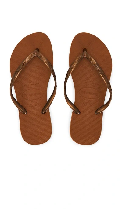 Havaianas Slim Sandal In Brown