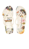 Havaianas Slim Summer Bliss Sandal In Beige
