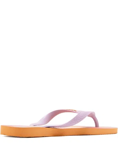 Havaianas Top Fashion Flip-flops In Purple
