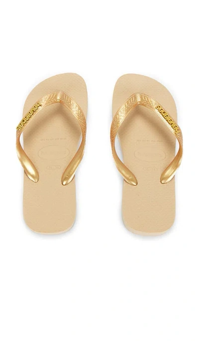 Havaianas Top Logo Metallic Sandal In Multi