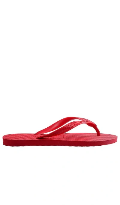 Havaianas Top Sandal In Pink Fever