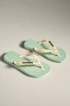 Havaianas Top Tropical Flip Flops In Green