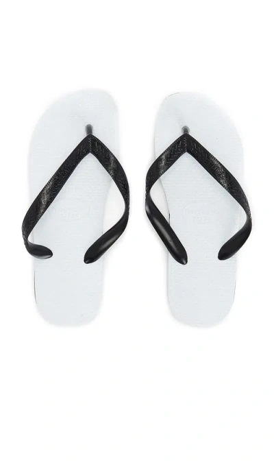 Havaianas Tradicional Sandal In Black
