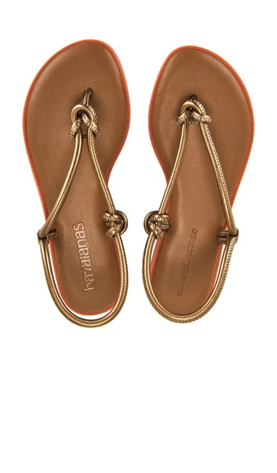 Havaianas Una Acai Eur Sandal In Rust Metal