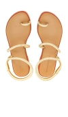 HAVAIANAS UNA PITANGA EUR SANDAL