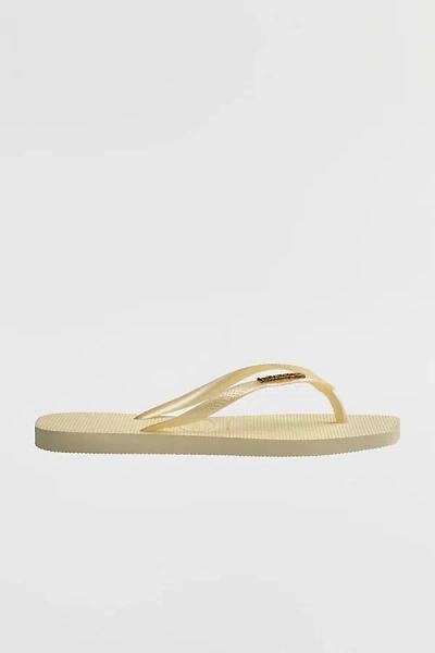 Havaianas Women's Slim Square Flip Flop Sandals In Buttercream, Women's At Urban Outfitters In Yellow