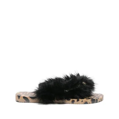 Havaianas X D&g Shoes