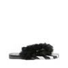 Havaianas X D&g Shoes