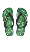 Havaianas X Dolce & Gabbana Banano Sandal