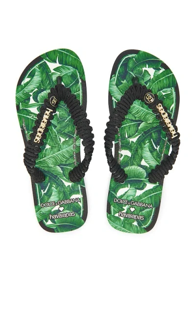Havaianas X Dolce & Gabbana Banano Sandal