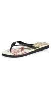 Havaianas X Farm Rio Copacabana Water Resistant Flip Flop In Copacabana