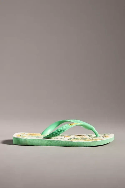 Havaianas X Farm Rio Sandals In Green