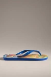 Havaianas X Farm Rio Summer Picnic Flip Flop