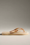 Havaianas X Farm Rio Thong Sandals In Gold
