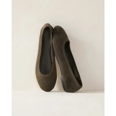 Haven Well Within Suede Round Toe Ballet Flats In Multi