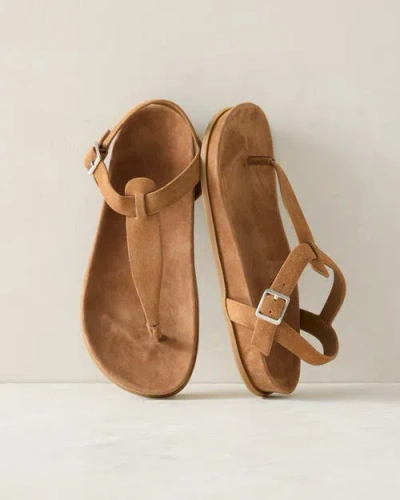 Haven Well Within Suede Thong Sandals In Brown