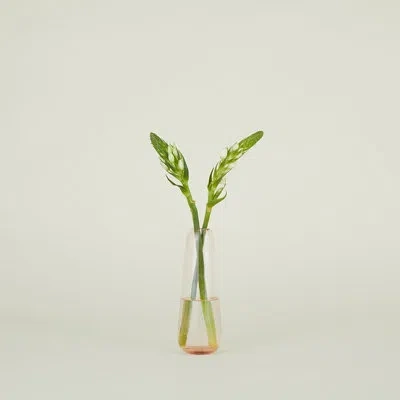 Hawkins New York Aurora Glass Table Vase In Blush
