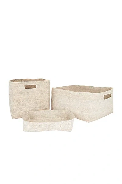 Hawkins New York Essential Woven Storage Set Of 3 In White