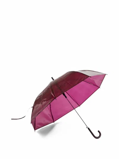 Hay Canopy Transparent Umbrella In Purple