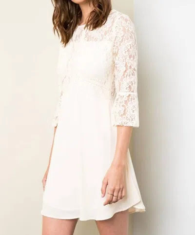 Hayden La Lace Fit & Flare Mini Dress In Ivory In Multi