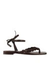 Hazy Woman Thong Sandal Dark Brown Size 8 Leather In Brown