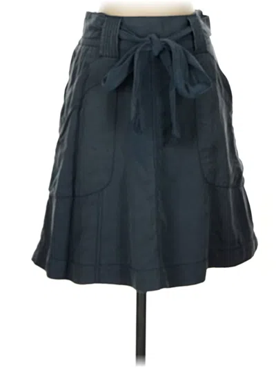 Pre-owned Hd In Paris Casual Skirt In Blue