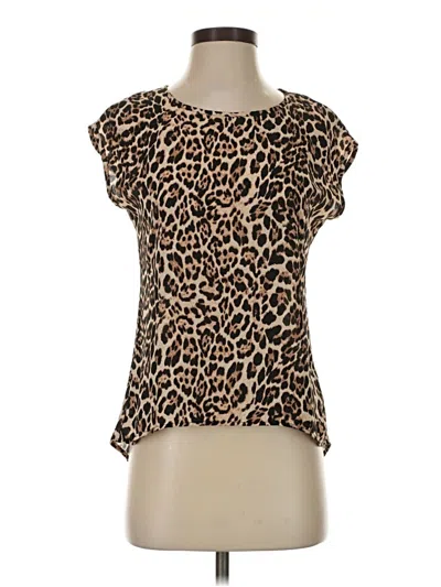 Pre-owned Heart Soul Short Sleeve Top Brown Scoop Neck Tops