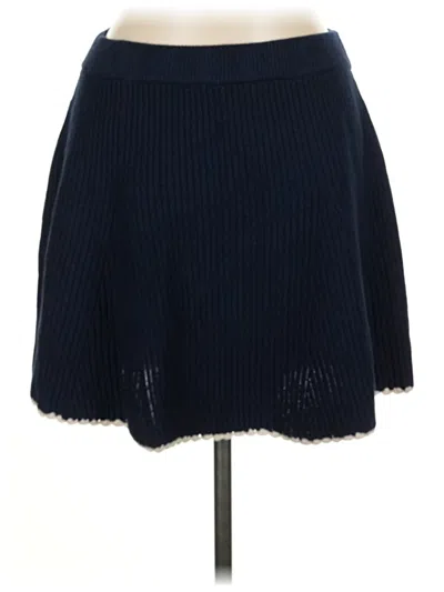 Pre-owned Heartloom Casual Skirt In Blue