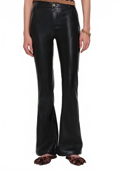 Heartloom Elisaria Pant In Black