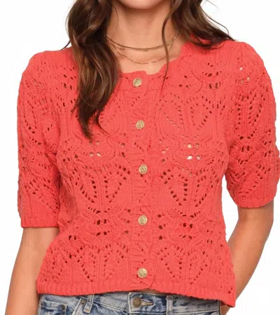 Heartloom Letitia Short Sleeve Cardigan In Flame In Orange
