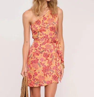 Heartloom Willow Dress In Gold/coral In Multi