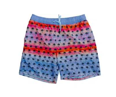 Heat Swimwear Men's Swim Trunks In Sunset Palms In Multi