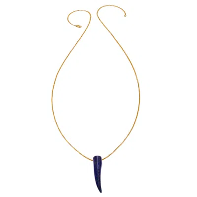 Heather Hawkins Jewelry Women's Blue Gemstone Horn Rolo Chain Necklace - Twenty Four Inches Long - Gold-filled - Lapis