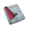 Heating & Plumbing London Blue Pure New Wool Picnic Blanket - Duck Egg Checks