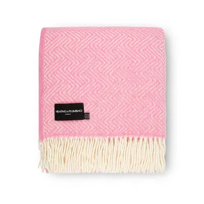 Heating & Plumbing London Lollypop - Pure New Wool Blanket - Pink