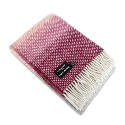 Heating & Plumbing London Super Fluffy Pure New Wool Blanket - Pink & Purple In Multi