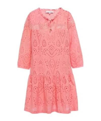 Heidi Klein Broderie Anglaise Cotton Minidress In Pink