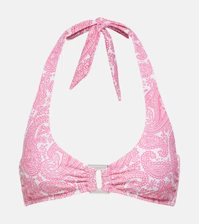 Heidi Klein Ischia Printed Halterneck Bikini Top In Pink