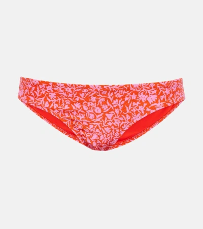 Heidi Klein Limpopo Floral Bikini Bottoms In Multicolor